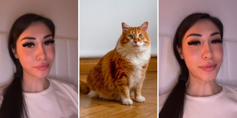 Apartment dweller’s cat may her evicted in renter horror story