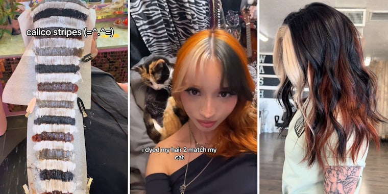 Calico hair explainer