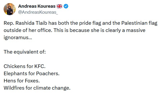 Tweet reading 'Rep. Rashida Tlaib has both the pride flag and the Palestinian flag outside of her office. This is because she is clearly a massive ignoramus… The equivalent of: Chickens for KFC. Elephants for Poachers. Hens for Foxes. Wildfires for climate change.'