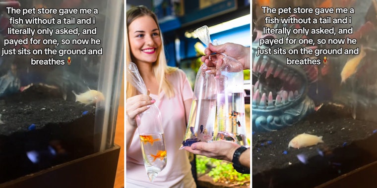 Man realizes he just bought a fish without a tail at the pet store