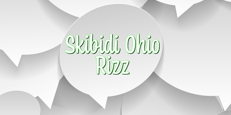 Skibidi ohio rizz