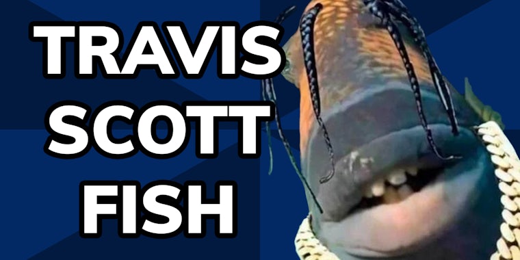Travis Scott Fish Meme