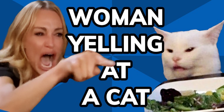 Woman Yelling At Cat Meme