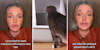 Litter box leads to tragic cat accident.
